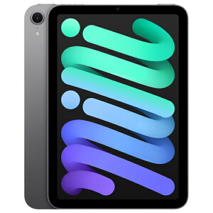 MXNA3J/A APPLE �X�y�[�X�O���C iPad mini (A17 Pro) [�^�u���b�gPC 8.3�^ / Wi-Fi���f�� / 256GB]