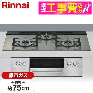 yWݒuHZbgz Rinnai RHS71W42J3RSTW-13A NVbN~[ LisseibZj [rgCKXR issKXpE3EEἨ^CvE75cmj] r[CP300
