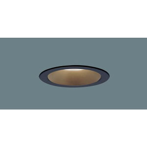 LGD1109LLE1 PANASONIC [LED�_�E�����C�g (�d���F)]