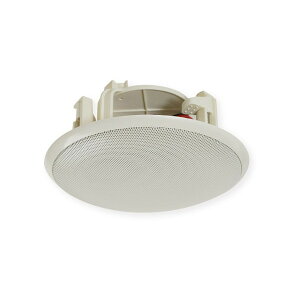 CL-77MIC MASSIVE �A�C�{���[ [�V�䖄���`�W�� �R���f���T�[�}�C�N]