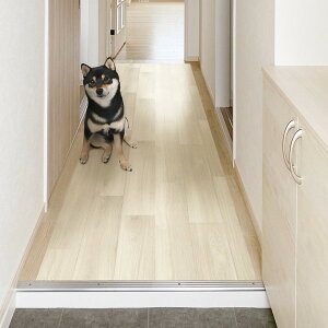 PRO-0130 ybgL~ PRO-0130 W aOrA