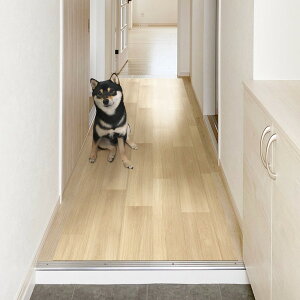 yGg[P5{!2020:00-271:59z PRO-0240 ybgL~ PRO-0240 BE aOrA