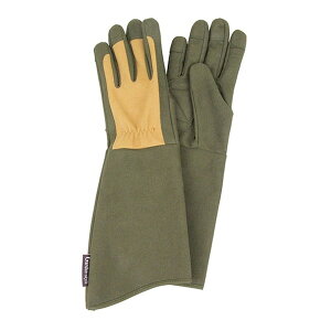 gQhɂLG M STS-M ZteB[3