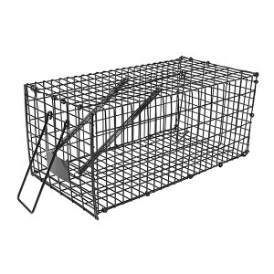 ˂ݕߊl  295×160×135mm ZteB[3