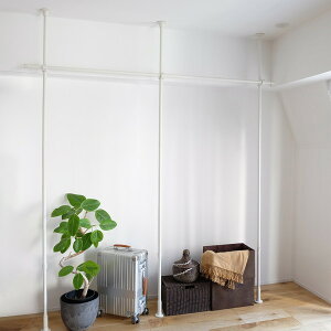 Naivis ςnK[Zbgi 2.0m ԃT|[g zCg TOSO [J[