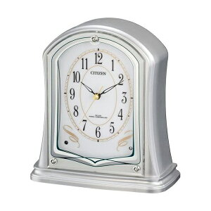 4RY694-019 CITIZEN ph[ [dguv]