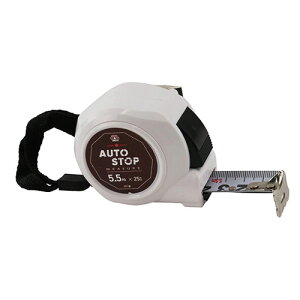 �f�U�C�����W���[AS SDM-2555AS SK11