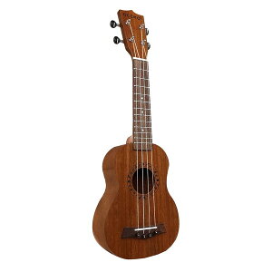 EN 21C` \vm U21M-BR A[oʏ [J[