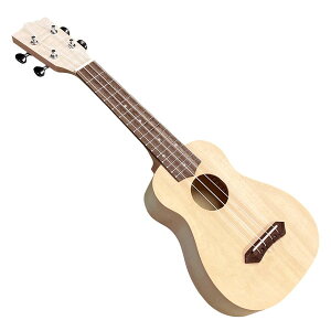 EN 21C` \vm g^Cv UDIY21 A[oʏ [J[