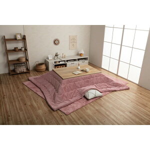 zc CPqRER[|[V 1181670100211 sAX ` | DPK 190X240 _XeBsN [J[