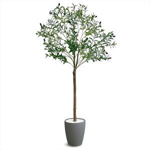 tFCNO[ I[u 1800mm OLE-180GY A[oʏ O[ [J[