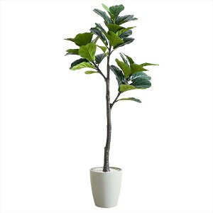 yGg[P5{!2020:00-271:59z tFCNO[ tBJXE[^ 1500mm VAR-150IV A[oʏ AC{[ [J[