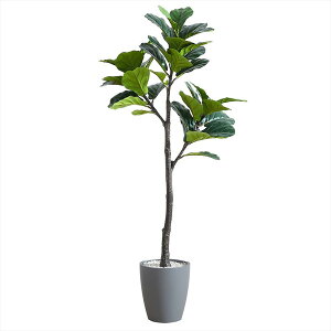 tFCNO[ tBJXE[^ 1500mm VAR-150GY A[oʏ O[ [J[