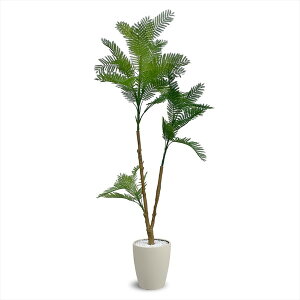 tFCNO[ Go[tbV 1200mm EVE-120IV A[oʏ AC{[ [J[