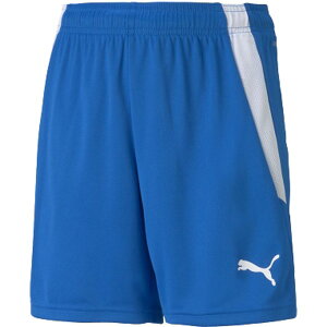 v[} TbJ[pc TEAMLIGA Q[pc u[ 120cm 705145 02 PUMA