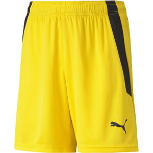 v[} TbJ[pc TEAMLIGA Q[pc CG[ 150cm 705145 07 PUMA