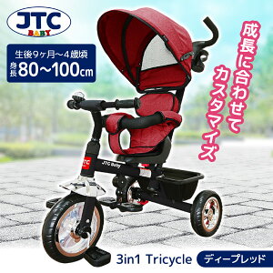 3in1tricycle fB[vbh JTC [O֎ (9`4΍܂)] yۏ؊ԁF1Nz