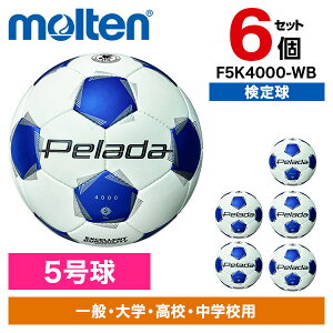 �y6�Z�b�g�z�����e�� �����e�� �؃��[�_ 4000 5�� ���� F5K4000-WB [�T�b�J�[�{�[��]