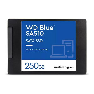 yGg[P10{!2420:00-279:59z WDS250G3B0A WESTERN DIGITAL [2.5C`SSD (250GB)]