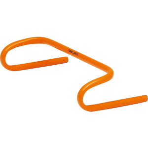 wZ̈ Xebvn[h10 IW G2019 g[GCCg [J[