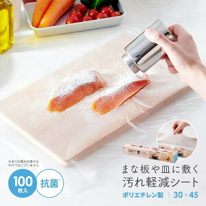 1010260 ܂ȔMɕ~yV[g ACfBA