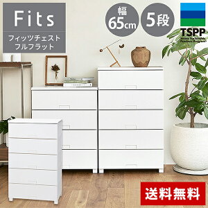 天馬 フィッツチェスト フルフラット チェスト 衣装ケース 収納ケース 収納ボックス 衣類収納 フィッツチェスト フルフラット 6504 6505 ホワイト グレー 引き出し プラスチック 4段 5段 幅65 高