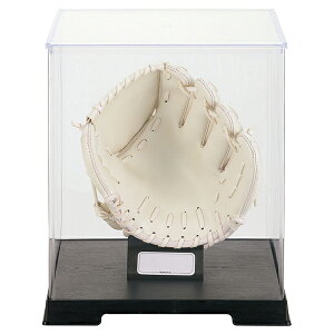 [bg 싅MtgEmxeB[ 싅OufBXvCP[X(ʃOuE~bgTCY) BGC1 ZETT