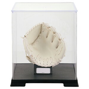 [bg 싅MtgEmxeB[ 싅OufBXvCP[X(NOuE~bgTCY) BGC2 ZETT