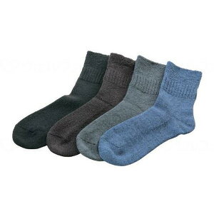 �ӂ���\�b�N�X �u���[ L �p�V�t�B�b�N�T�v���C ���[�J�[����