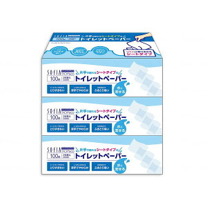 \tBA^b`GR V[g^CvgCbgy[p[100g3  }XR[ [J[