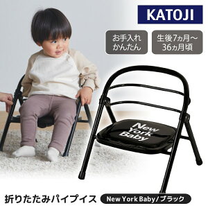 ܂肽݃pCvCX KATOJI NewYork Baby ubN 19509 7J`36J܂ yۏ؊ԁF1Nz