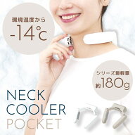 TVで紹介されました サンコー ネッククーラーポケット グレージュ 2025 冷却プレート 軽量 コンパクト -1…