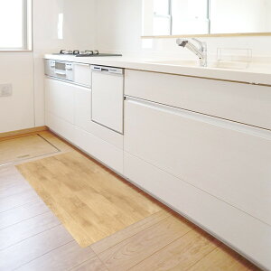 REN-17 NEbh BE 45x120cm aOrA [mxV[g]