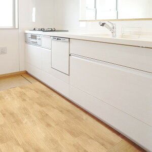 REN-17 NEbh BE 90x90cm aOrA [mxV[g]