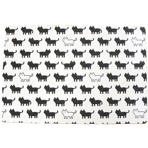 VPM-lR BK 29x44cm aOrA [`}bg]