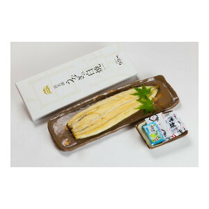 yⓀz  lΎYȂ  [J[ v[g Mtg