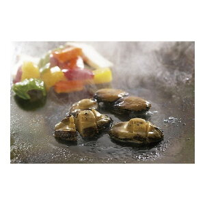 MHi M уXe[L 100gx3 [J[ Mtg v[g Ε ~Mtg