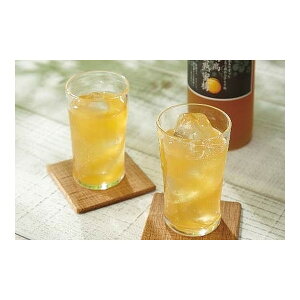 【エントリーでP10倍!24日20:00-27日9:59】 王隠堂農園 王隠堂南高黄熟蜜梅 2本セット メーカー直送 プレゼント ギフト