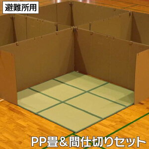 1040160011002 hЊԎd؂Zbg 200×200cm CPqRER[|[V [J[