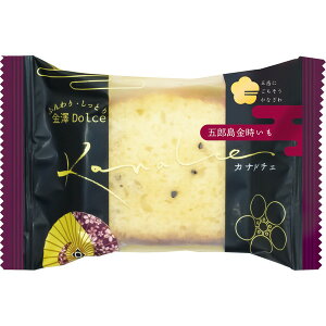 VZ Ji`F ܘY 1x10 [J[ Mtg v[g Ε ~Mtg