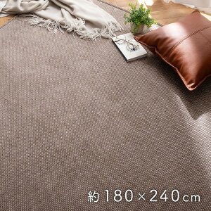 【エントリーでP10倍!24日20:00-27日9:59】 ラグ 洗える カーペット ラグマット オールシーズン 北欧 おしゃれ 1畳 1.5畳 2畳 3畳 北欧 洗濯OK 無地 ホットカーペット 床暖房対応 夏用 冬用 韓国 イン