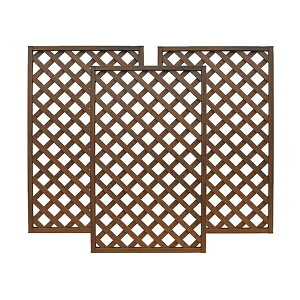 Vi-g eBX 1590 EHibg 3Zbg aks-21878 i [J[