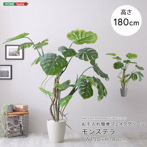 SH-06-MON-L ȒPtFCNO[ Xe LTCY(180cm) AC{[ z[eCXg [J[