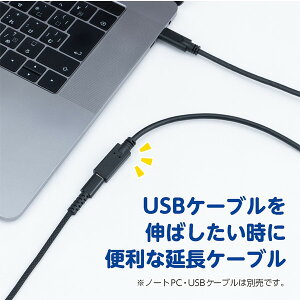 USB-EC3005BK Nakabayashi �u���b�N [USB3.2�����P�[�u�� Type-C (0.5m)]