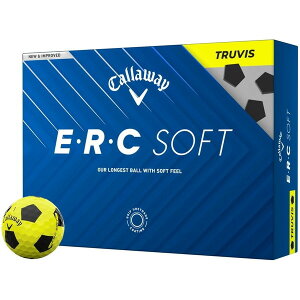 ERC SOFT TRUVIS St{[ 2025Nf CG[ 1_[X(12) LEFC y{Kiz