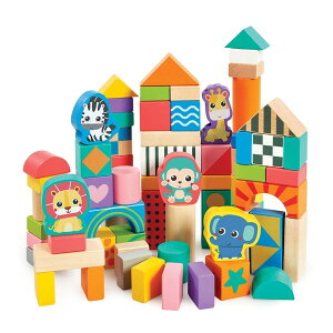 WOODEN BRICKS �ؐ� �J���t���݂� �A�j�}�� 200939 Early Learning Centre