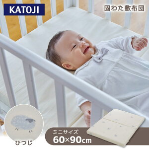 ł킽~zc ~j Ђ 06413 KATOJI yۏ؊ԁF1Nz