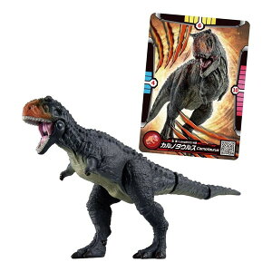 AjA WVbNE[h Jm^EX(AjAogJ[ht) ^Jg~[