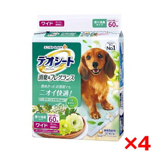 y4Zbgzj`[ fIV[g L&tOX O[A}̍ Ch 60