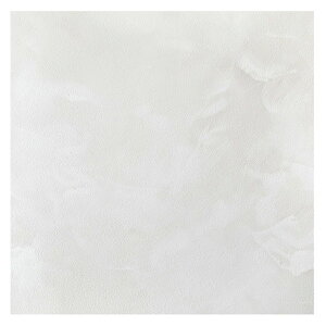 81965703 \Ă͂ Xg[tA^C 120g 6 30.5×30.5 GWH  [J[